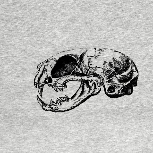 Anatomical Cat Skull  | Animal Skeleton | Anatomical Art | Veterinarian Gift | Medical Student Gift by kaleighdayart